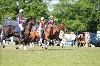 UKPA NC SAT_2355